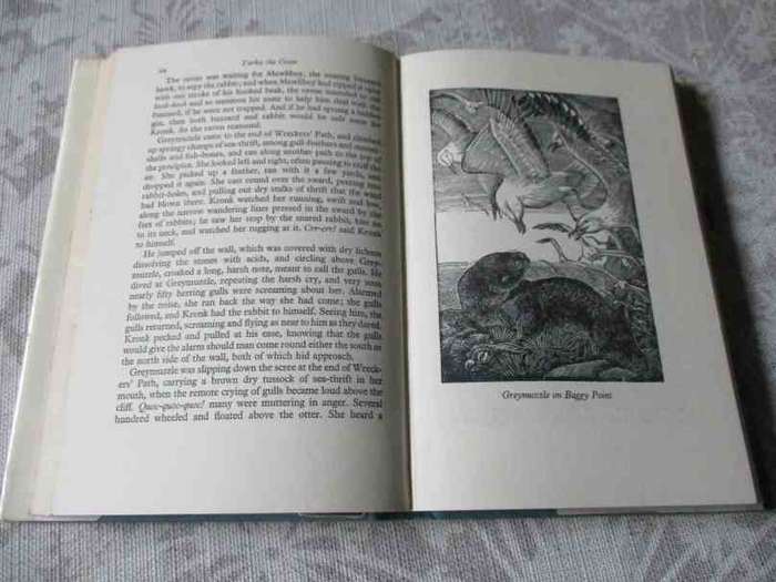 TARKA THE OTTER - HENRY WILLIAMSON