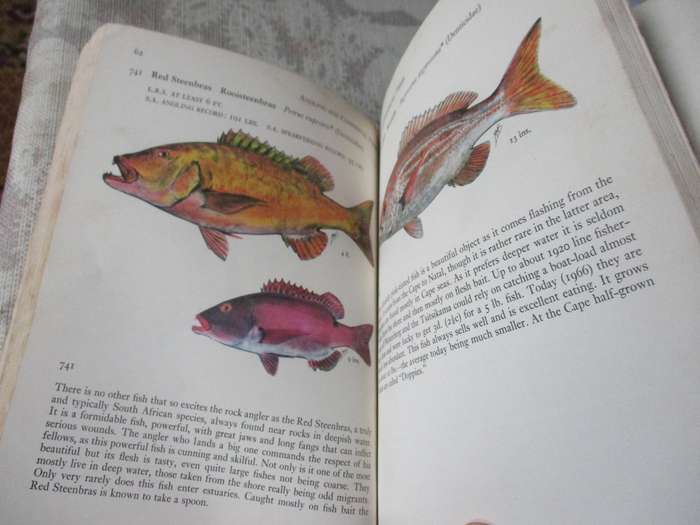 FISHES OF THE TSITSIKAMA COASTAL NATIONAL PARK - PROF J.L.B. SMITH AND MARGARET M SMITH