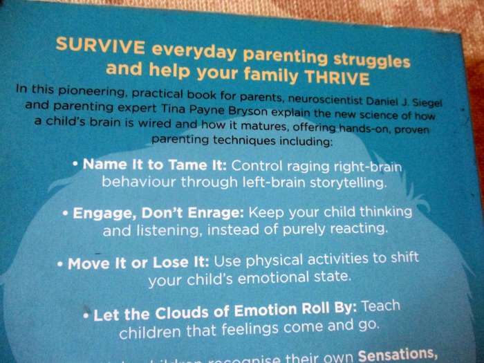 THE WHOLE-BRAIN CHILD - 12 PROVEN STRATEGIES TO NURTURE YOUR CHILD'S DEVELOPING MIND - DR DANIEL ...