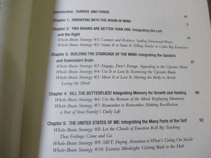 THE WHOLE-BRAIN CHILD - 12 PROVEN STRATEGIES TO NURTURE YOUR CHILD'S DEVELOPING MIND - DR DANIEL ...