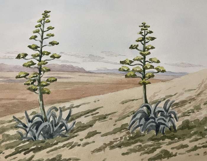 ORIGINAL P. WHITWORTH - WATER COLOUR PAINTING IN GOLD FRAME - KAROO LANDSCAPE