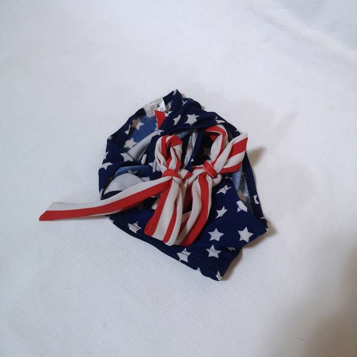 American Flag Vintage Bikini bottom