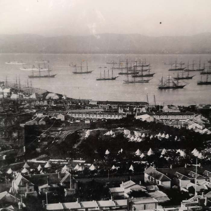 Historical Vintage 1800s Image "Cape Town Harbour from Signal Hill"