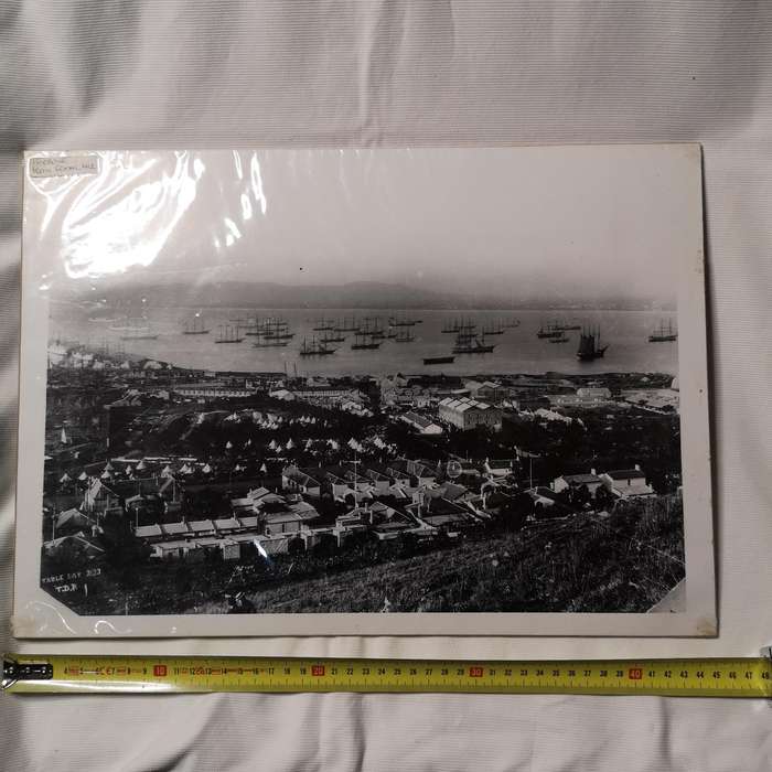 Historical Vintage 1800s Image "Cape Town Harbour from Signal Hill"