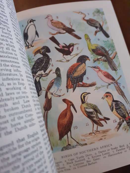 Encyclopaedia of Southern Africa (Fifth edition) ~ Eric Rosenthal
