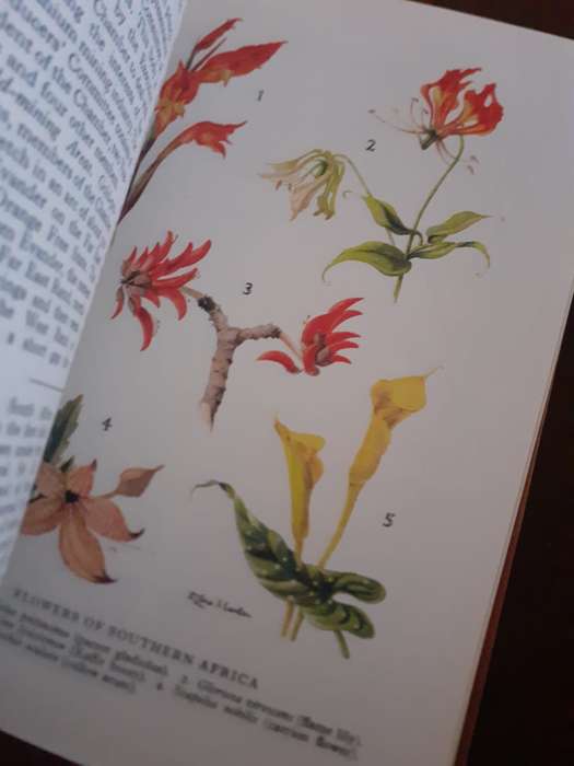 Encyclopaedia of Southern Africa (Fifth edition) ~ Eric Rosenthal