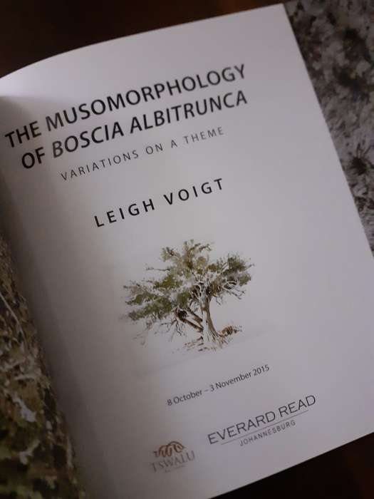 The Boscias of Tswalu ~ Leigh Voigt