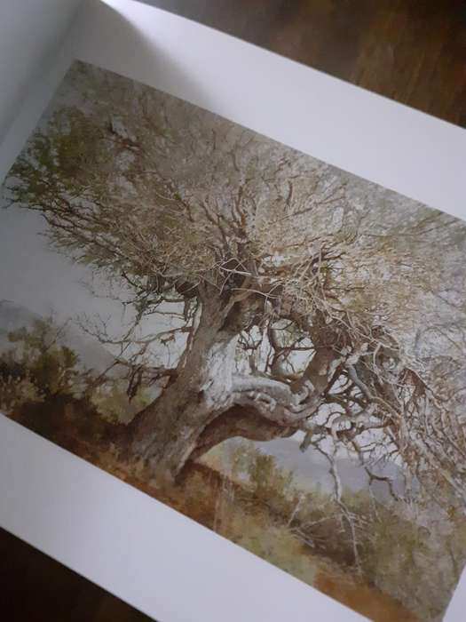 The Boscias of Tswalu ~ Leigh Voigt