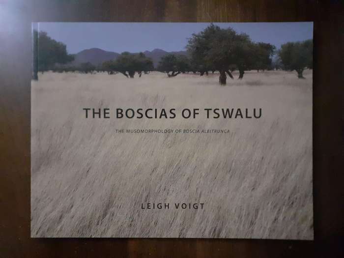 The Boscias of Tswalu ~ Leigh Voigt