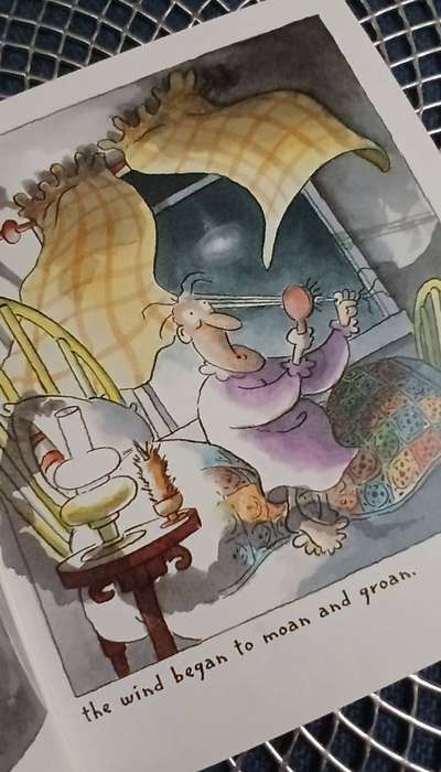 The Hairy Toe - WALKER BOOKS ~ illustrated by Daniel Postgate