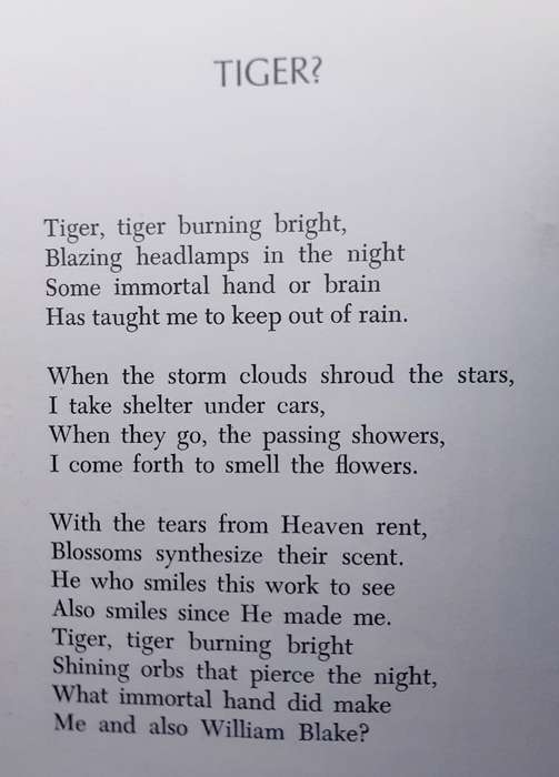 Honourable Cat ~ Paul Gallico