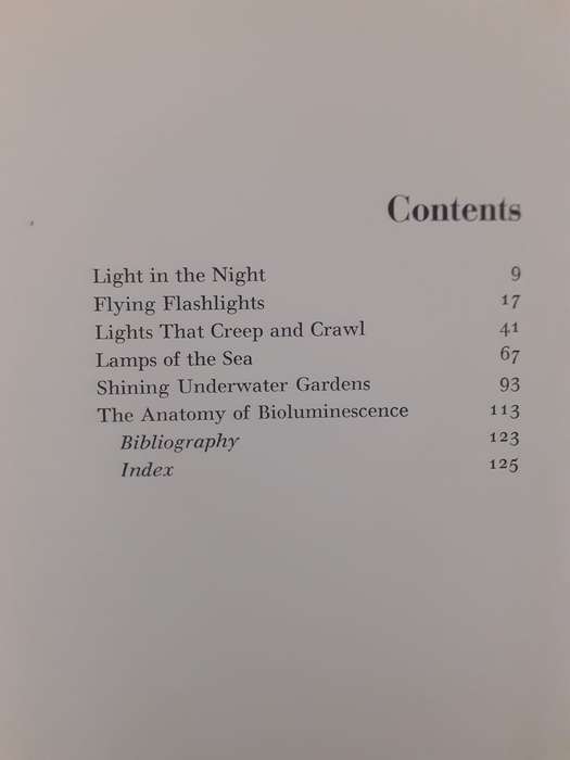 Living Lanterns ~ Hilda Simon