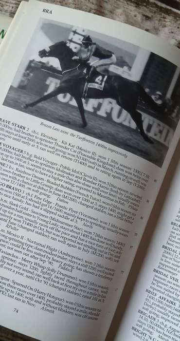 Racing Record 1991 Annual ~ A RACEFORM PUBLICATION