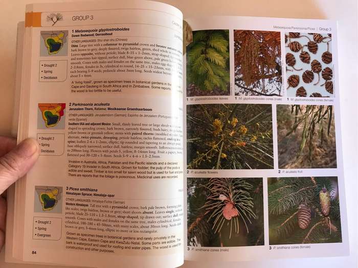 Guide to Trees Introduced Into Southern Africa by Abraham Erasmus van Wyk and Hugh Glen