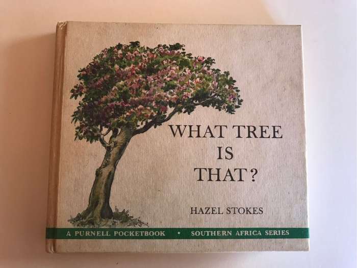 What tree is that? By Hazel Stokes