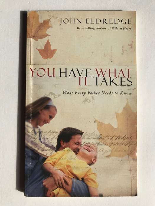 You Have What It Takes by John Eldredge