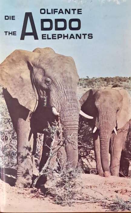 Die Addo olifante