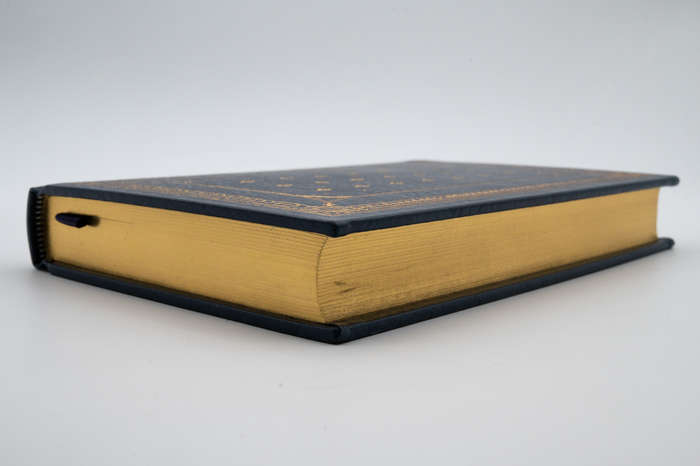 Birds of America by McCarthy, Mary