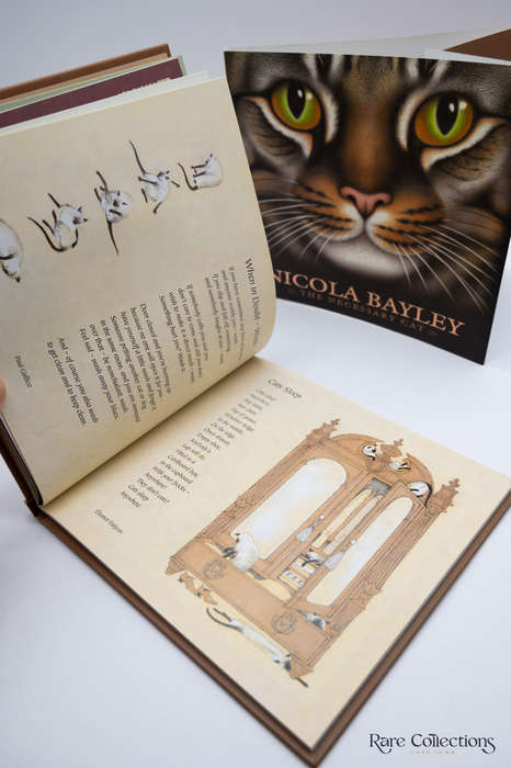 The Necessary Cat by Bayley, Nicola