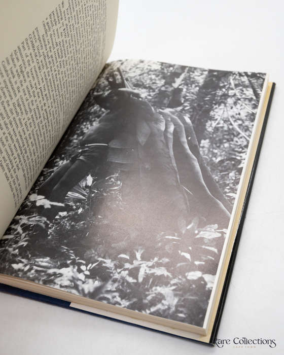 The Rivers Amazon by Shoumatoff, Alex (Uncommon Title)
