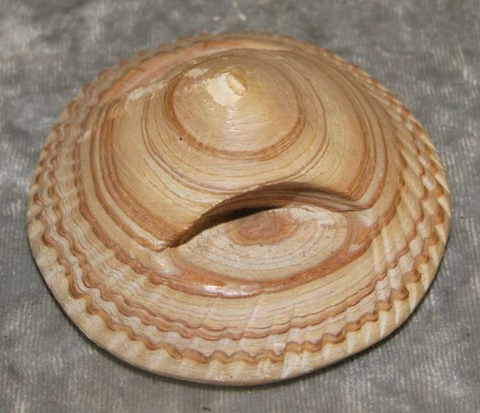 Soapstone hand carved trinket box