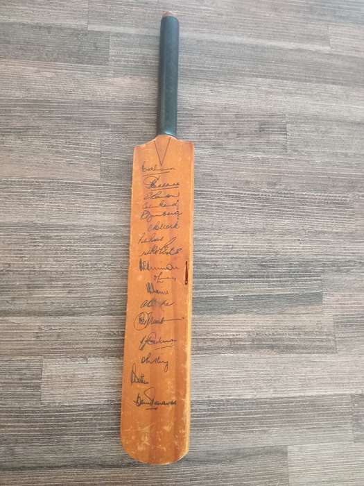 Mini cricket bat