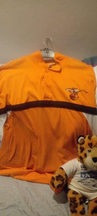 RARE SIGNED CHEETAH RUGBY MEMORABILIA. GYSIE AND RUAN PIENAAR.FATHER AND SON RUGBY LEGENDS..
