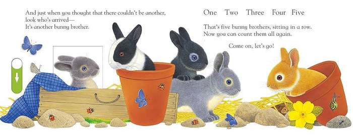 Busy Bunny Slide & Play Board Book