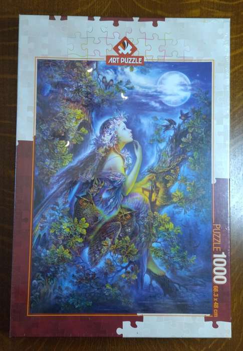In My Dreams 1000 Piece Jigsaw Puzzle (Artist: Nadia Strelkina), Heidi Art Puzzles