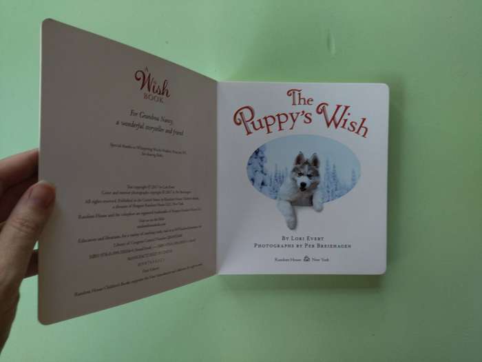 The Puppy's Wish (A Wish Book) by Lori Evert - Board Book