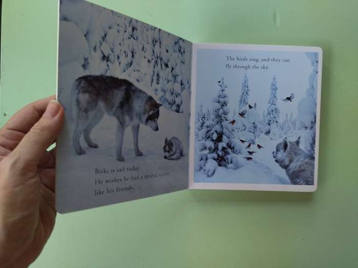 The Puppy's Wish (A Wish Book) by Lori Evert - Board Book