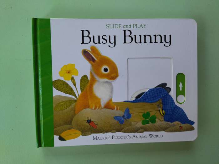 Busy Bunny Slide & Play Board Book