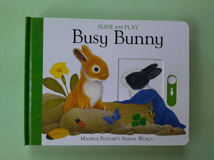 Busy Bunny Slide & Play Board Book