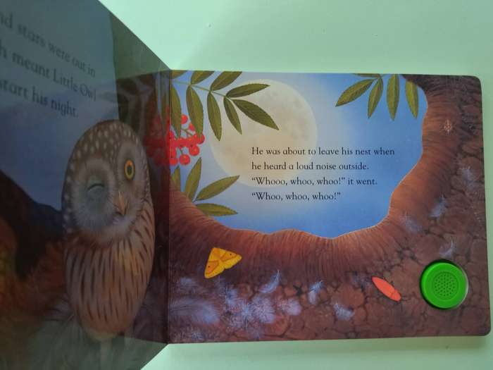 Little Owl and the Noisy Night (Sound Button Tales) - Board Book