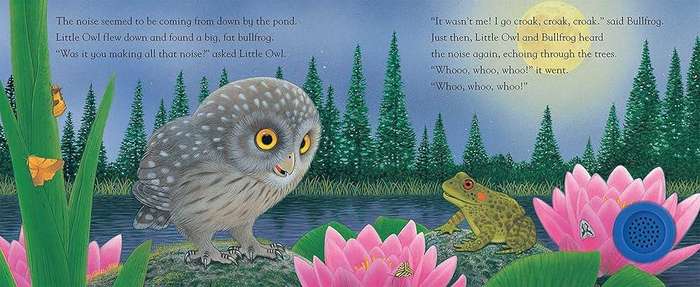 Little Owl and the Noisy Night (Sound Button Tales) - Board Book