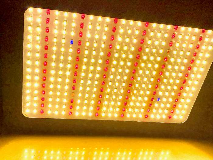 LED grow light Lunar 350 chip set for veg/bloom.