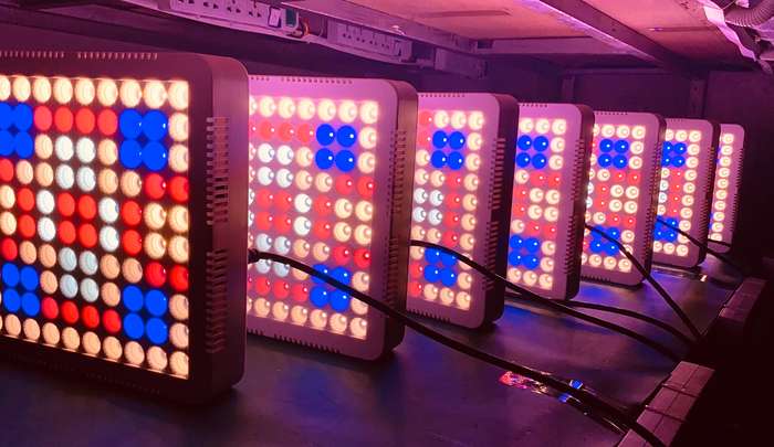 LED grow light 100W