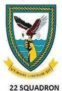 Moria Aranid Decals, SAAF 22 Squadron Badge, ACD-26, 1/48 Scale