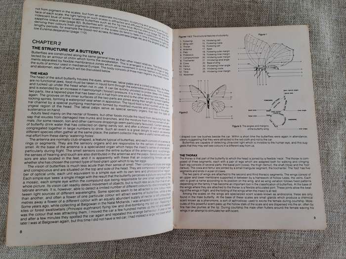 Field Guide to the Butterflies of Southern Africa - Ivor Migdoll