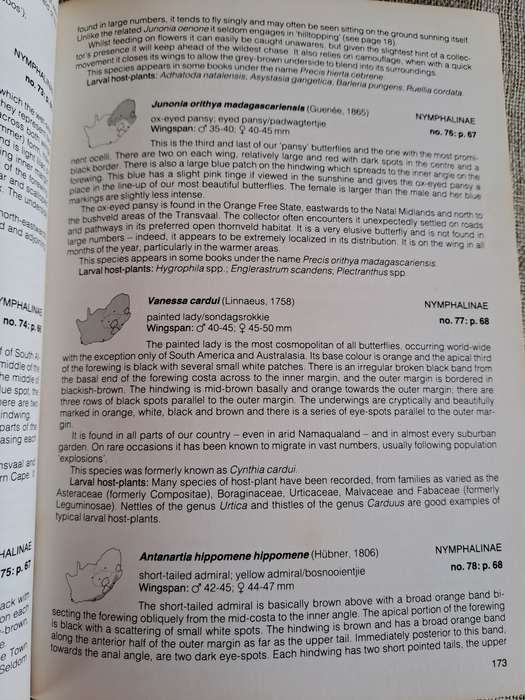 Field Guide to the Butterflies of Southern Africa - Ivor Migdoll