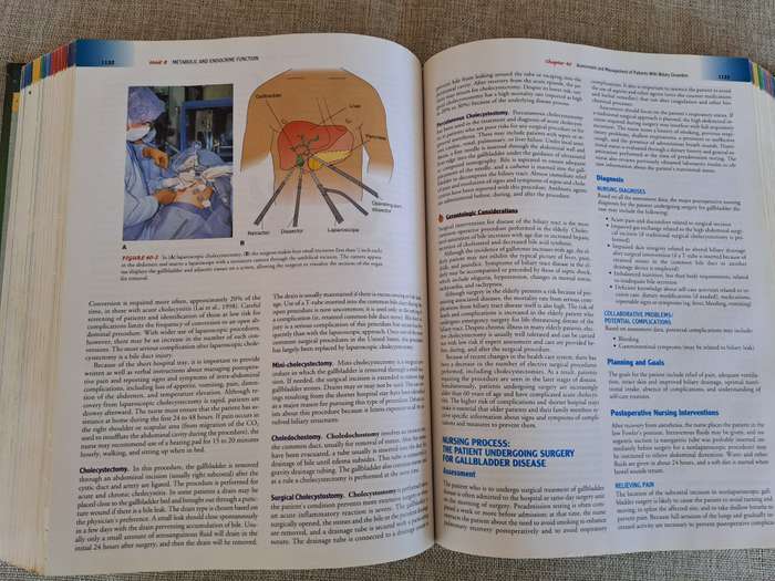Brunner and Suddarth's Textbook of Medical-Surgical Nursing, 10th Edition