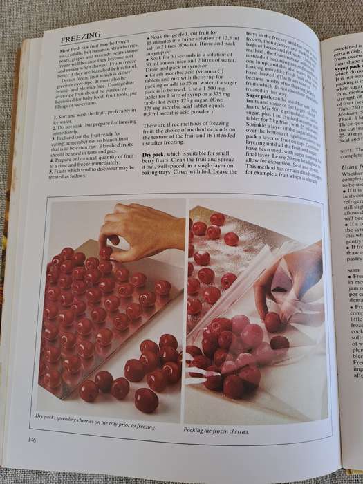 South African Fruit Cooking & Preserving - Magdaleen van Wyk