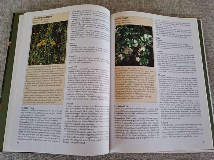 A-Z of Herbs :Identifying Herbs, How to Grow Herbs, The uses of herbs - Margaret Roberts