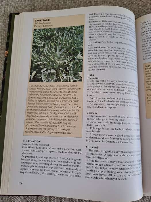 A-Z of Herbs :Identifying Herbs, How to Grow Herbs, The uses of herbs - Margaret Roberts