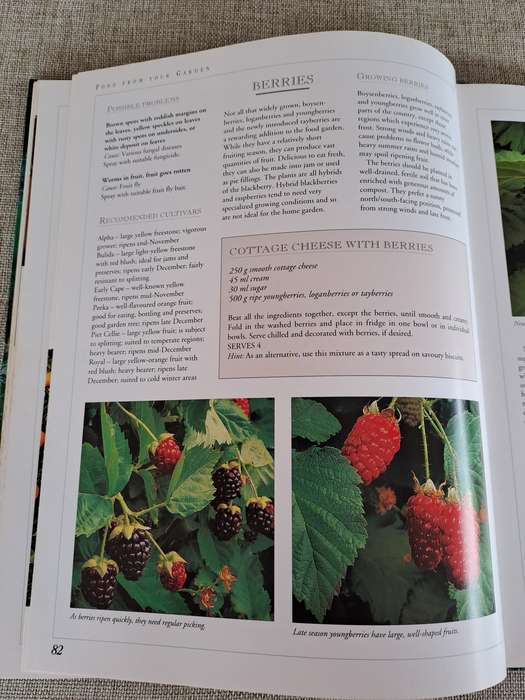 Food From Your Garden  A Southern African guide to growing your own fruit, vegetables and herbs.