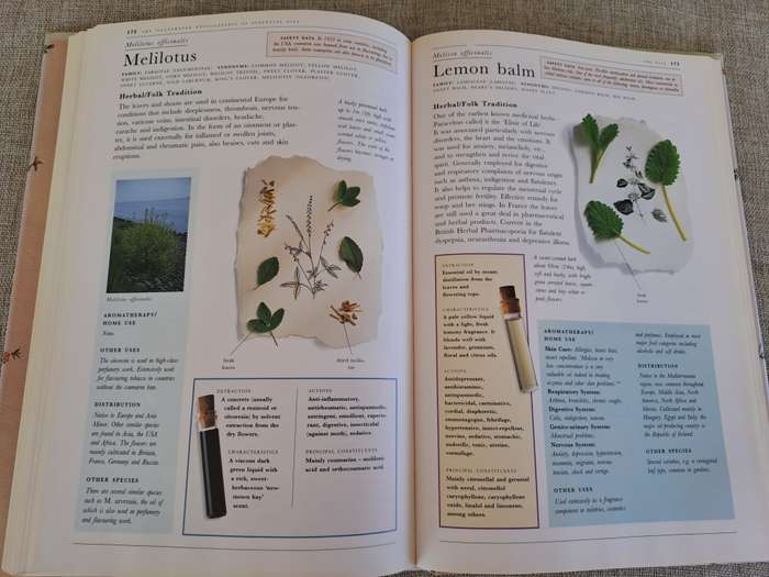 The Illustrated Encyclopedia of Essential Oils - Julia Lawless