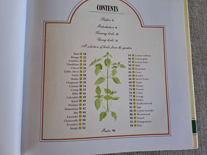 A Celebration of Herbs: for the South African garden & home  Barbara Hey