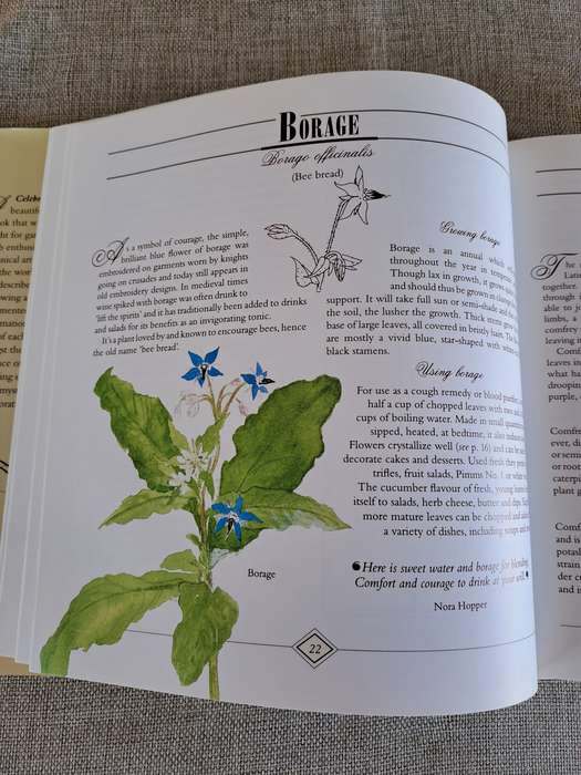 A Celebration of Herbs: for the South African garden & home  Barbara Hey
