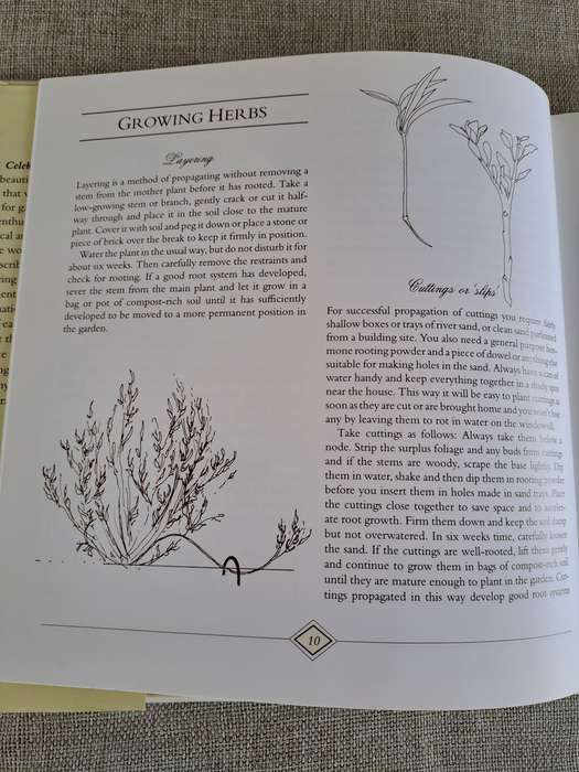 A Celebration of Herbs: for the South African garden & home  Barbara Hey