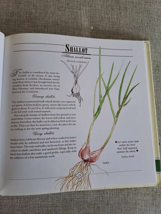 A Celebration of Herbs: for the South African garden & home  Barbara Hey